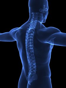804472-human-spine-in-xray